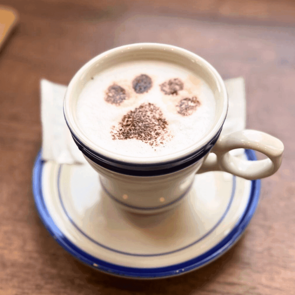 [画像：カプチーノ]