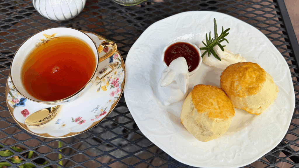 [画像：本日のホームメイドスコーン＆ドリンクのセット]