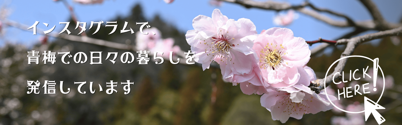 baigo.funのInstagramへのバナー