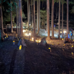 【青梅市】下山八幡神社の竹灯籠回廊が幻想的！&#x2728; 歴史と見どころ、開催情報も紹介