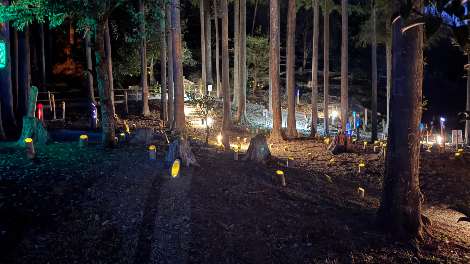 「【青梅市】下山八幡神社の竹灯籠回廊が幻想的！✨ 歴史と見どころ、開催情報も紹介」のアイキャッチ画像