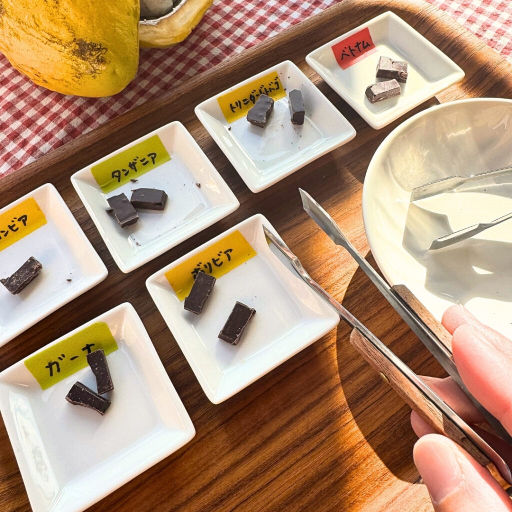 チョコレート試食セット