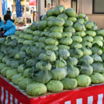 【2024年】JA西東京 農業祭に行ってきました