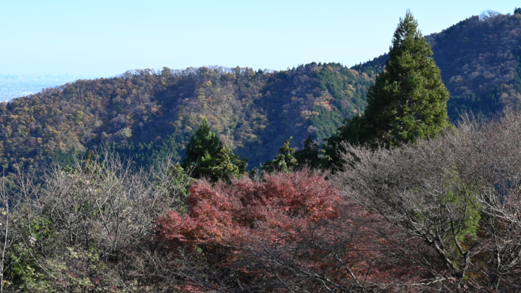 御岳山からの景色