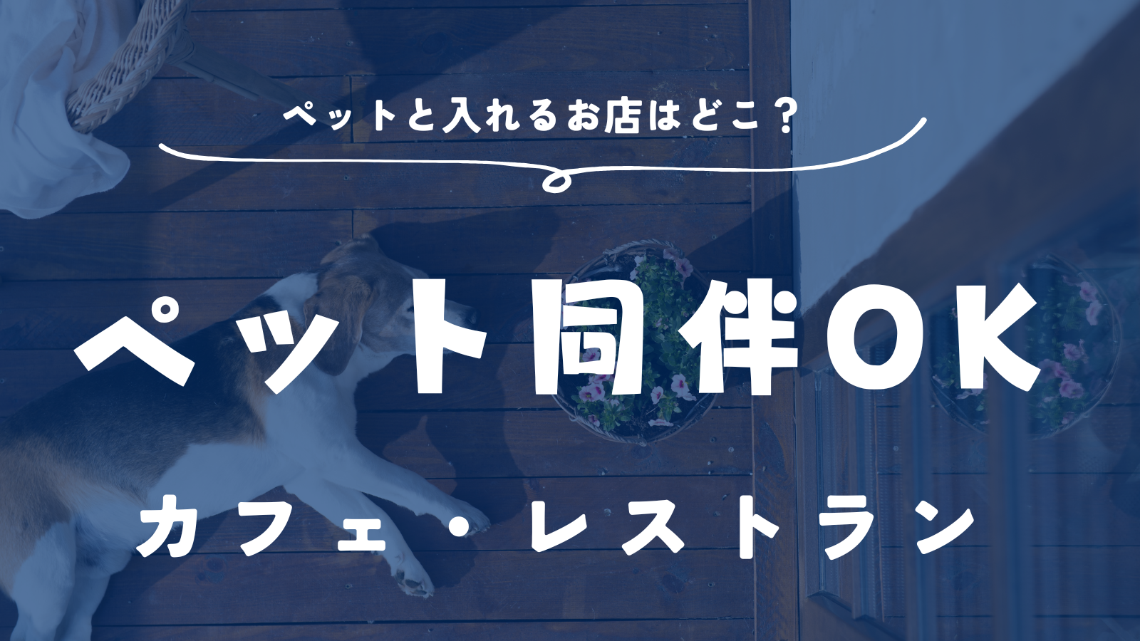 「青梅市でペットと入れるお店はどこ？おすすめ３選【カフェ・レストラン】」のアイキャッチ画像