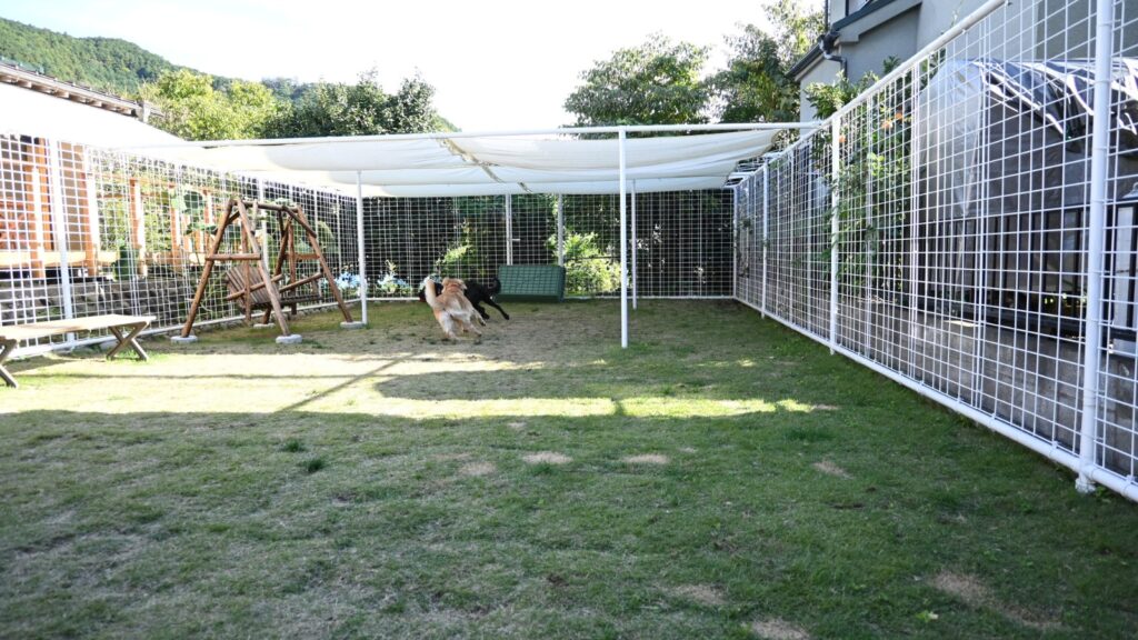 モカわんランドさんのドッグラン