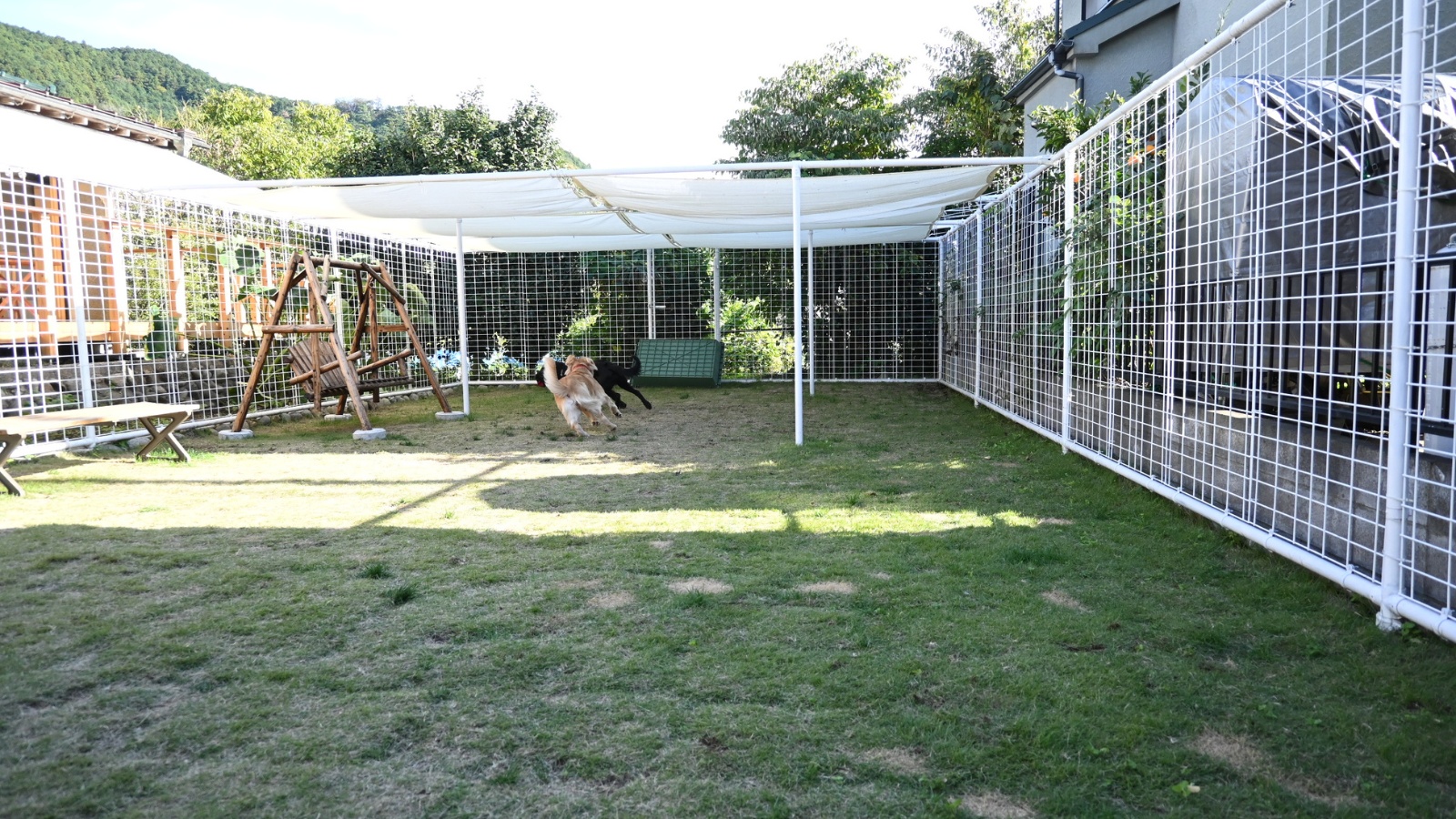 モカわんランドさんのドッグラン