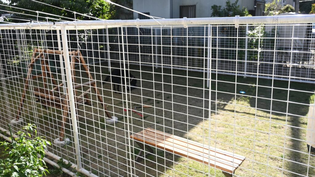 モカわんランドさんの様子