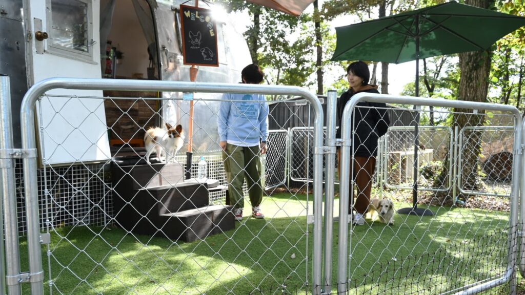 [画像：東京ドギーズガーデンさん併設のワンちゃんの幼稚園・SUNABAさん]