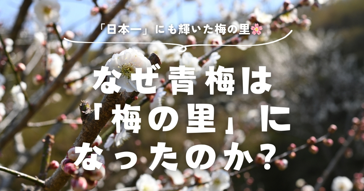 なぜ青梅は「梅の里」になったのか？のサムネイル画像