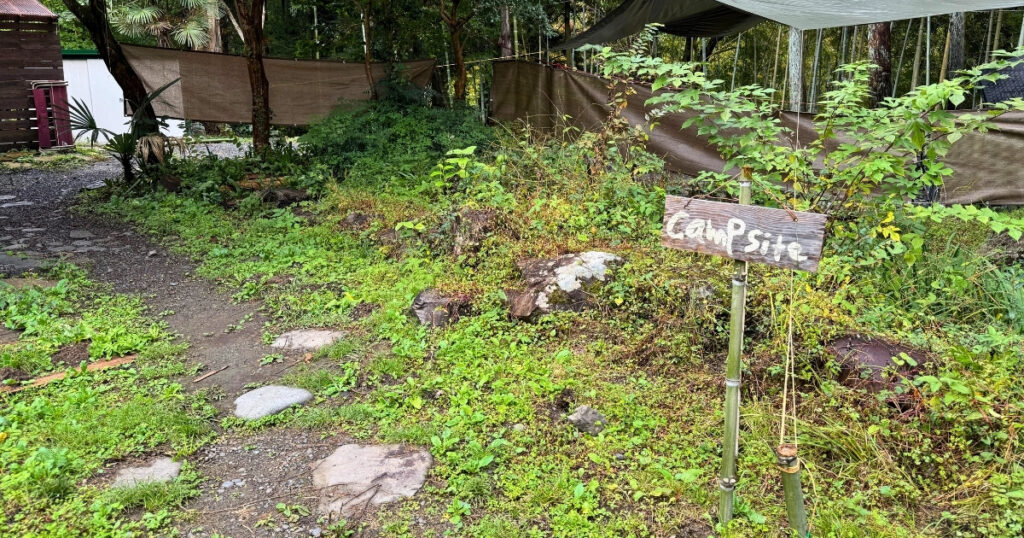 画像：CAMPSITEへ続く道