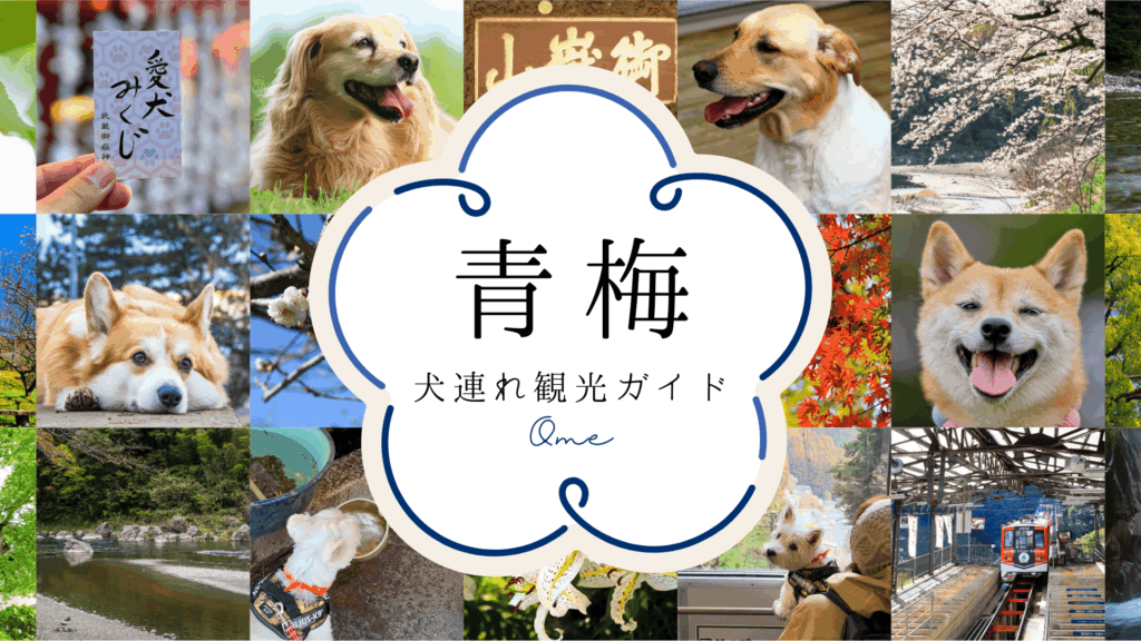 青梅市の犬連れ観光ガイドのサムネイル