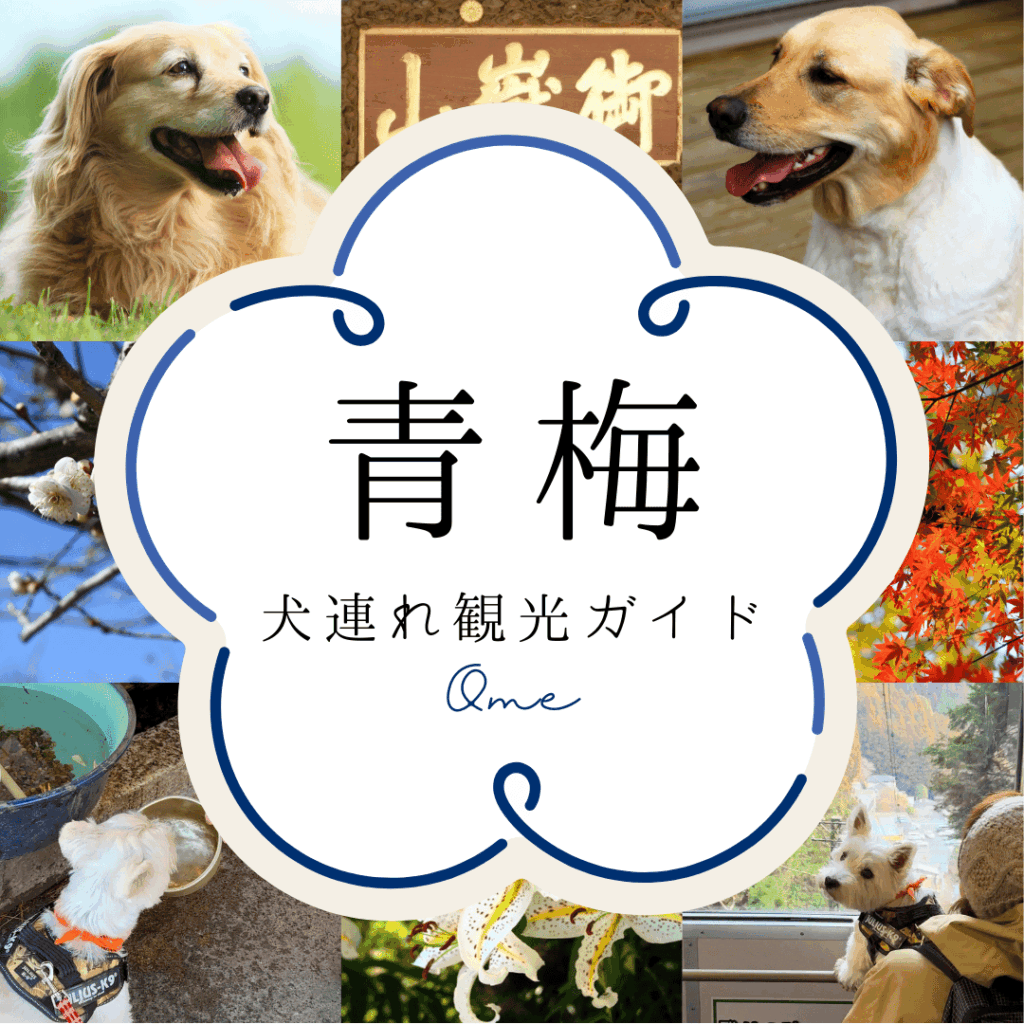 青梅犬連れ観光ガイド（SP版サムネイル画像）