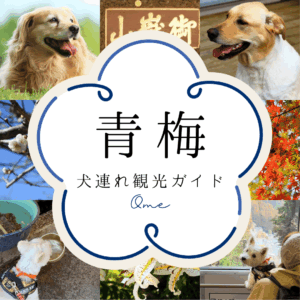 青梅犬連れ観光ガイド（SP版サムネイル画像）