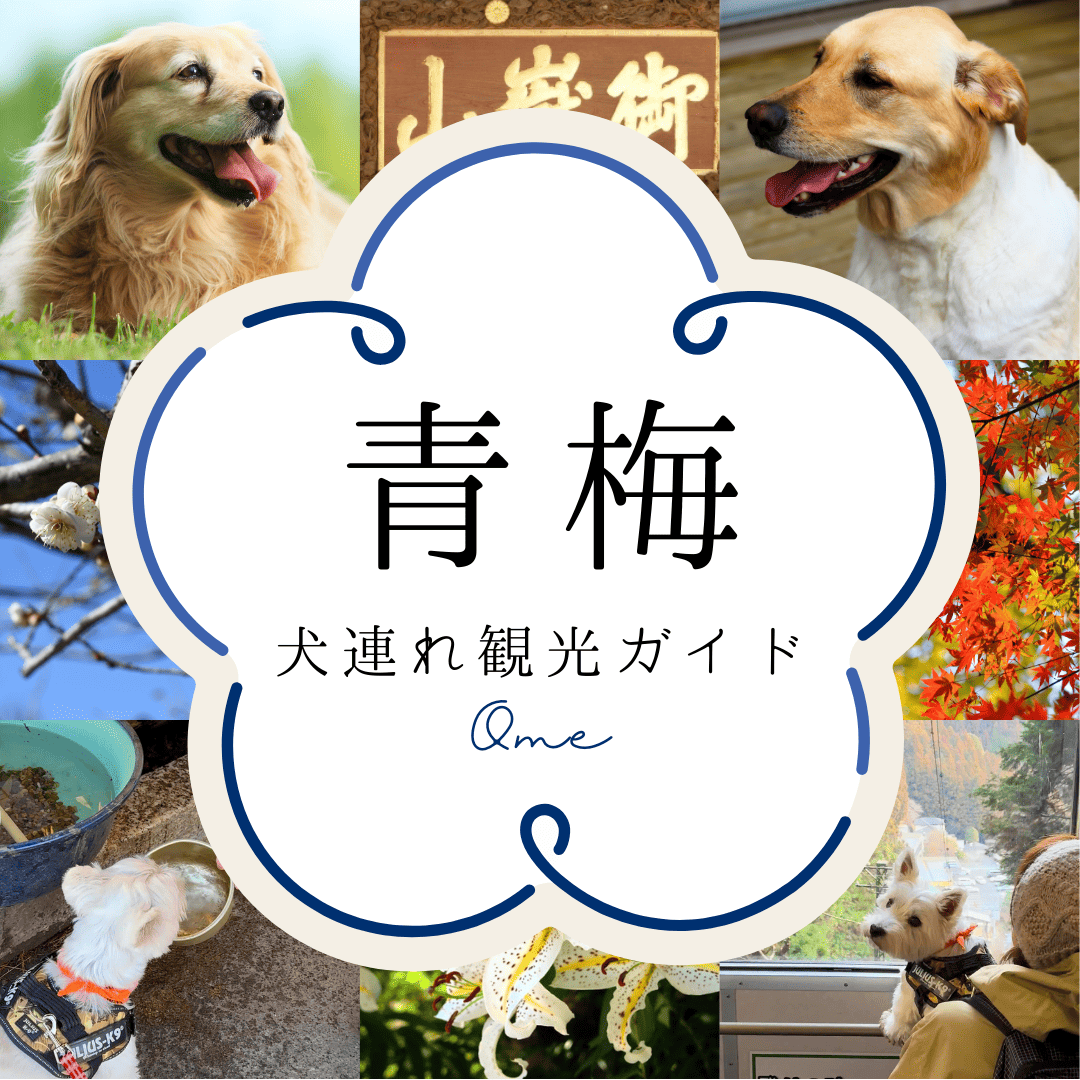 青梅犬連れ観光ガイド(SP版サムネイル画像)