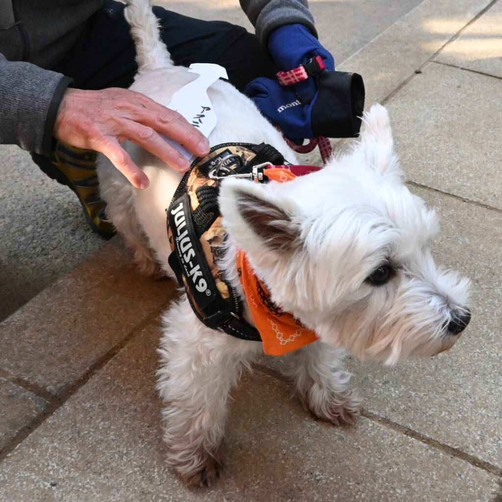 形代を体になでつける様子