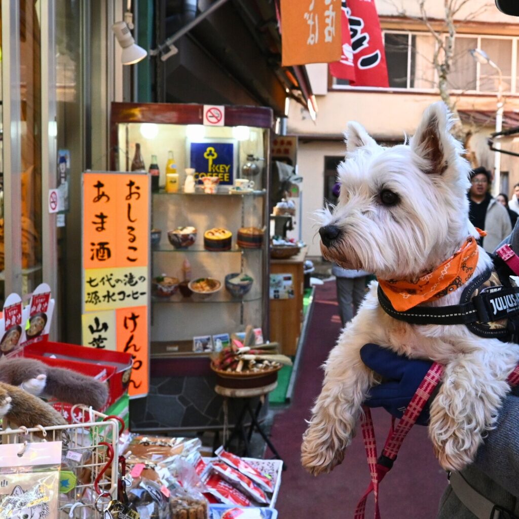 武蔵御嶽神社前の商店街の様子