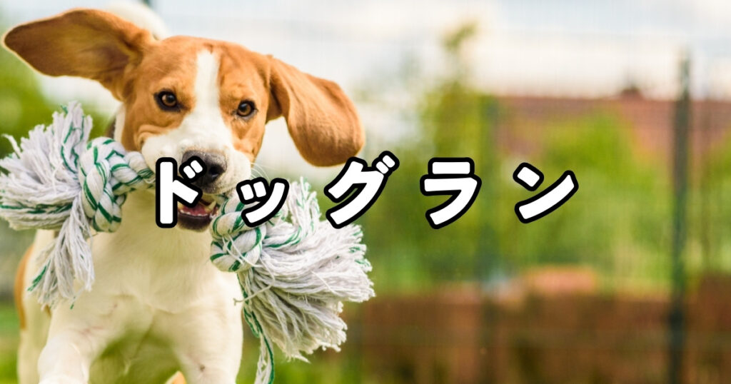 画像：青梅市のドッグランまとめ