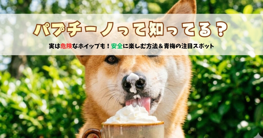 画像：パプチーノの記事のサムネイル画像