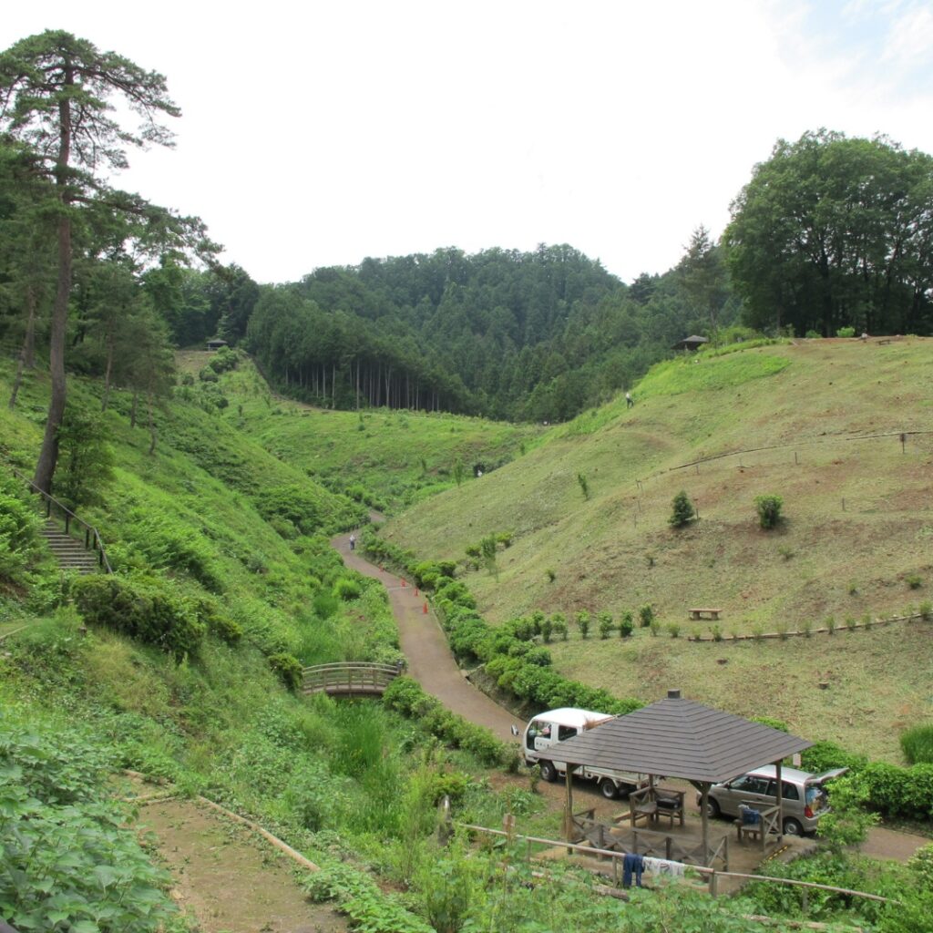 2014年　伐採後の梅の公園の様子①