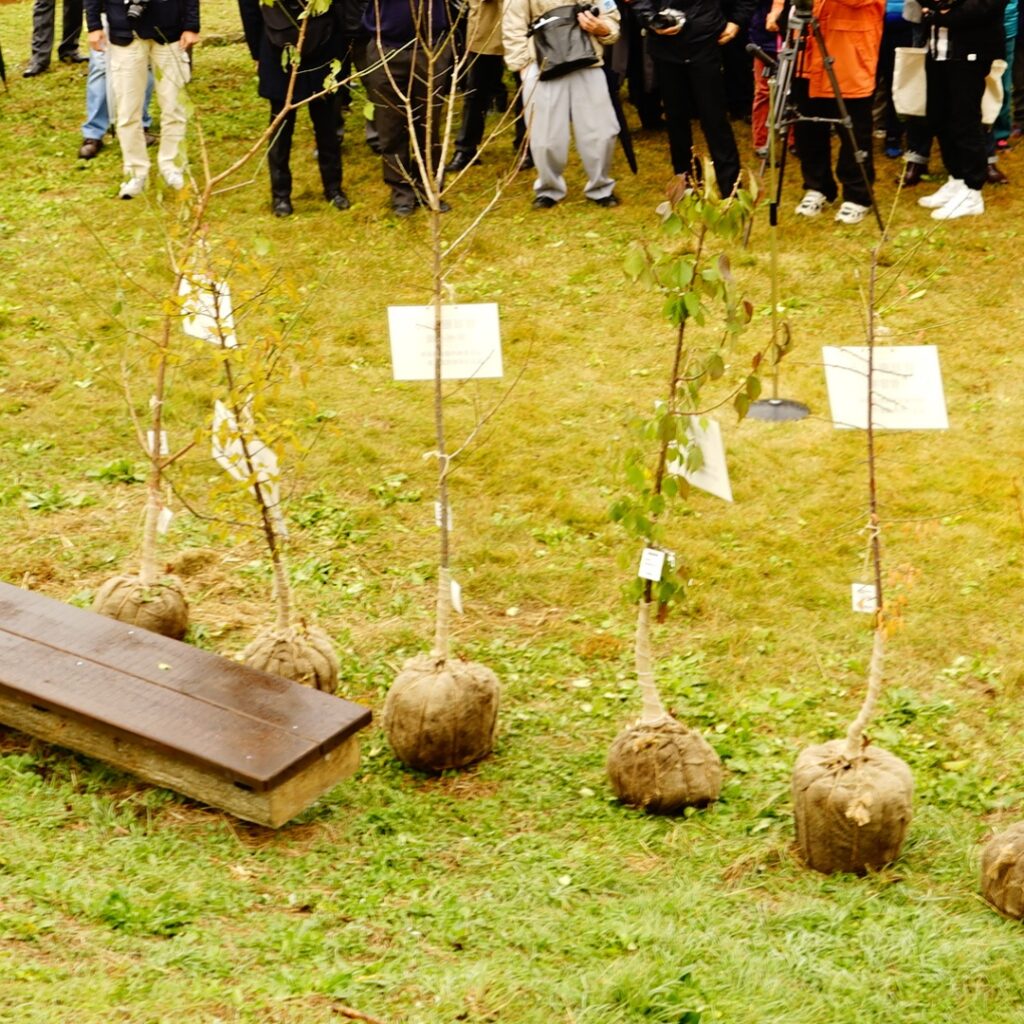 2016年 青梅市梅の公園 再植樹式典の様子