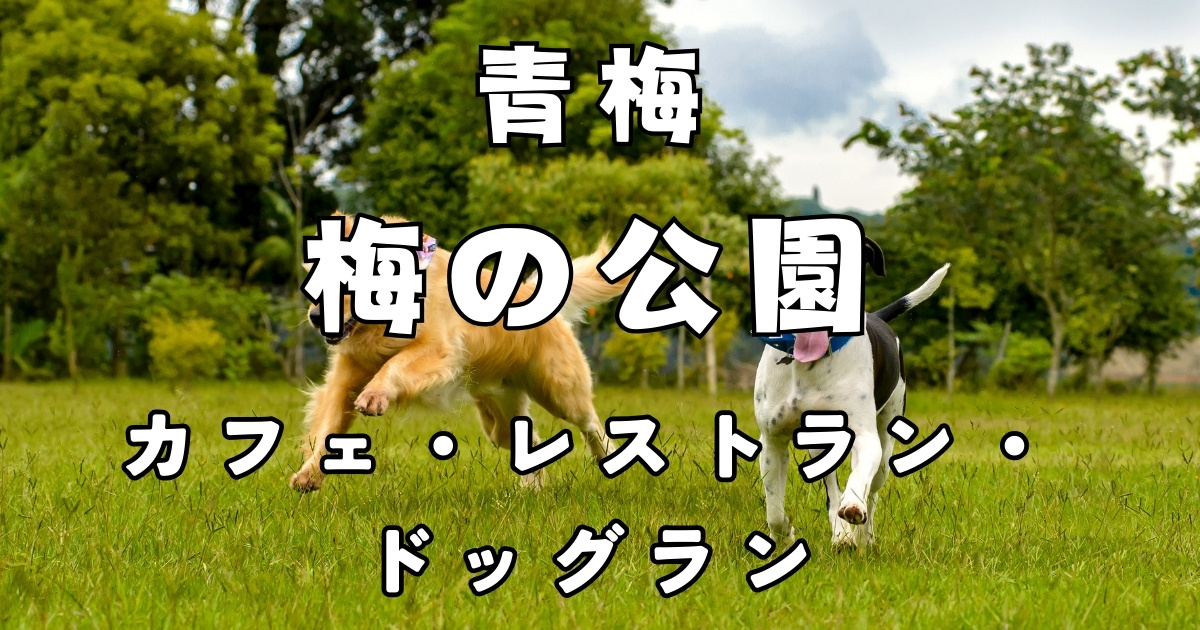 【青梅・梅の公園】犬連れOKのレストラン・カフェ・ドッグラン