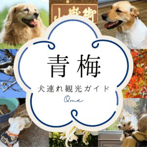 青梅犬連れ観光ガイド（SP版サムネイル画像）