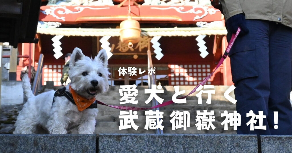 【体験レポ】愛犬と行く武蔵御嶽神社！
