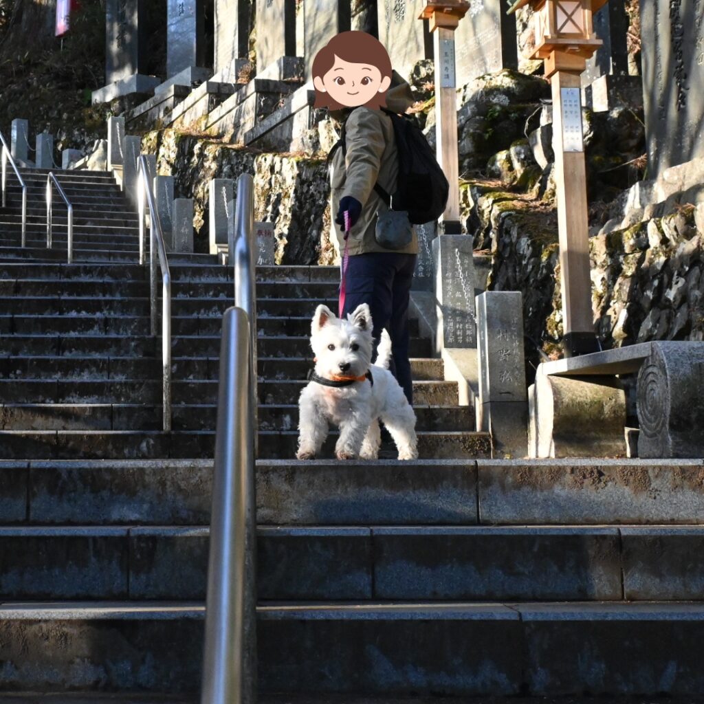 先導するアスティちゃん