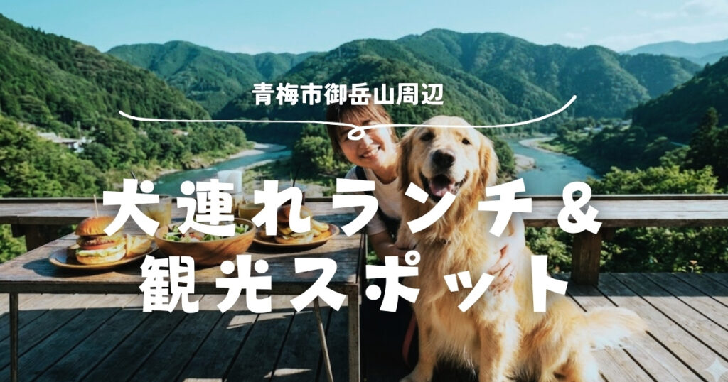 青梅市御岳山周辺の犬連れランチの記事