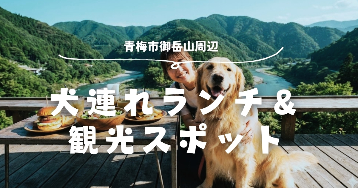 青梅市御岳山周辺の犬連れランチの記事