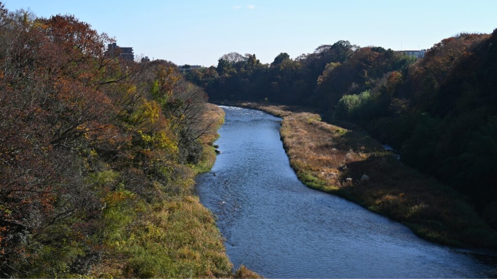 調布橋からの眺め