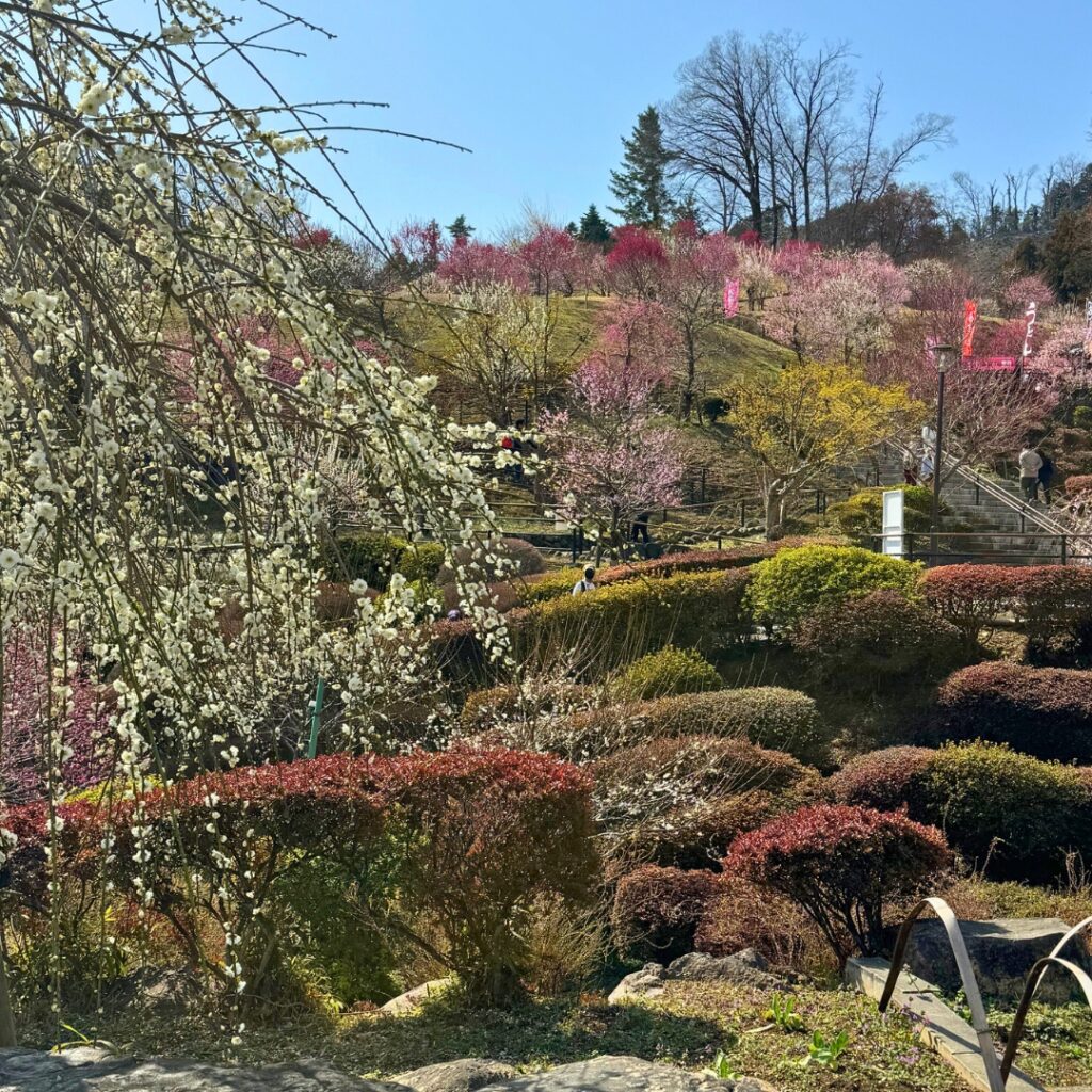 店内からの眺め