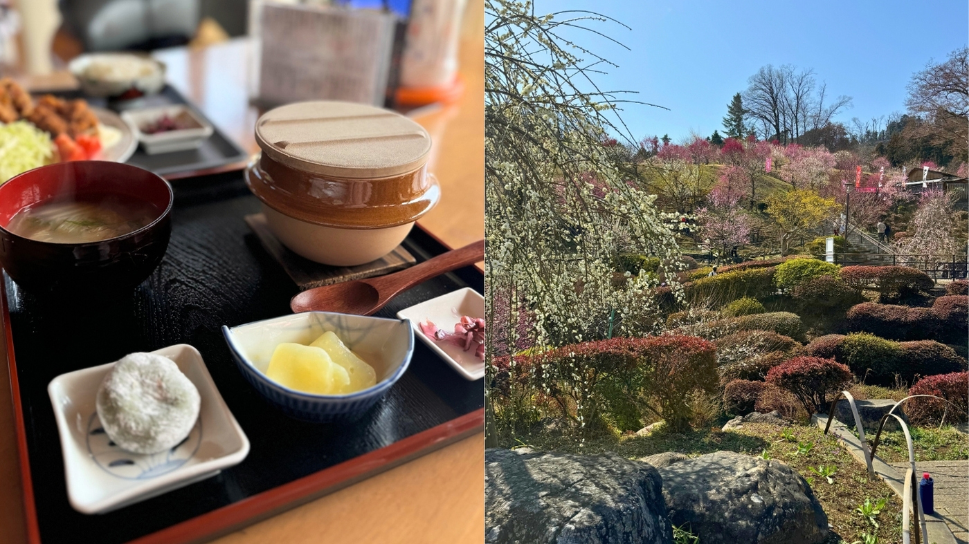 茶屋 舞花_サムネイル画像