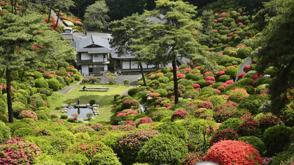 塩船平和観音像のおひざ元からの景色