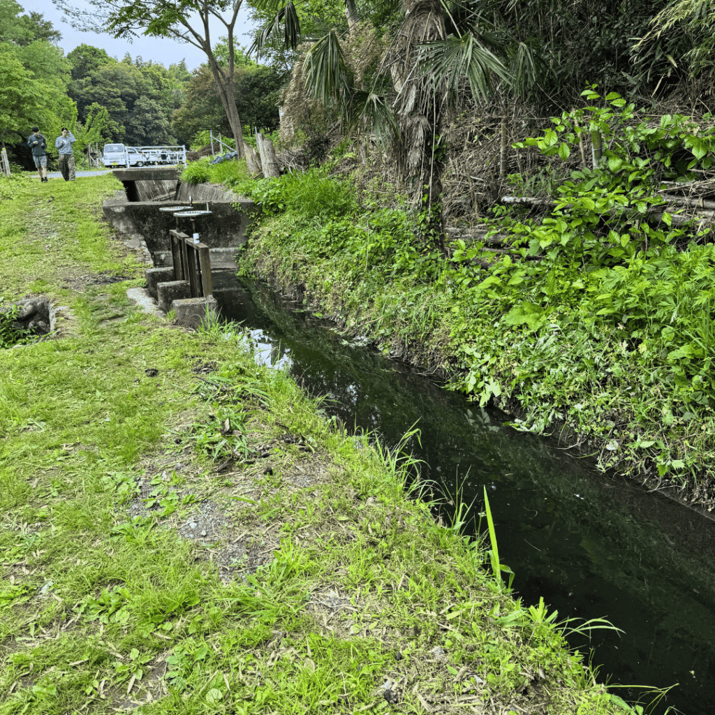用水路。向かうは乙黒耕地