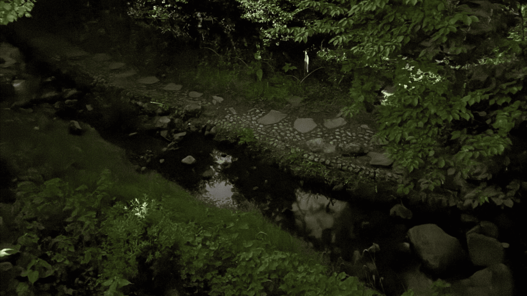 梅の公園のホタル