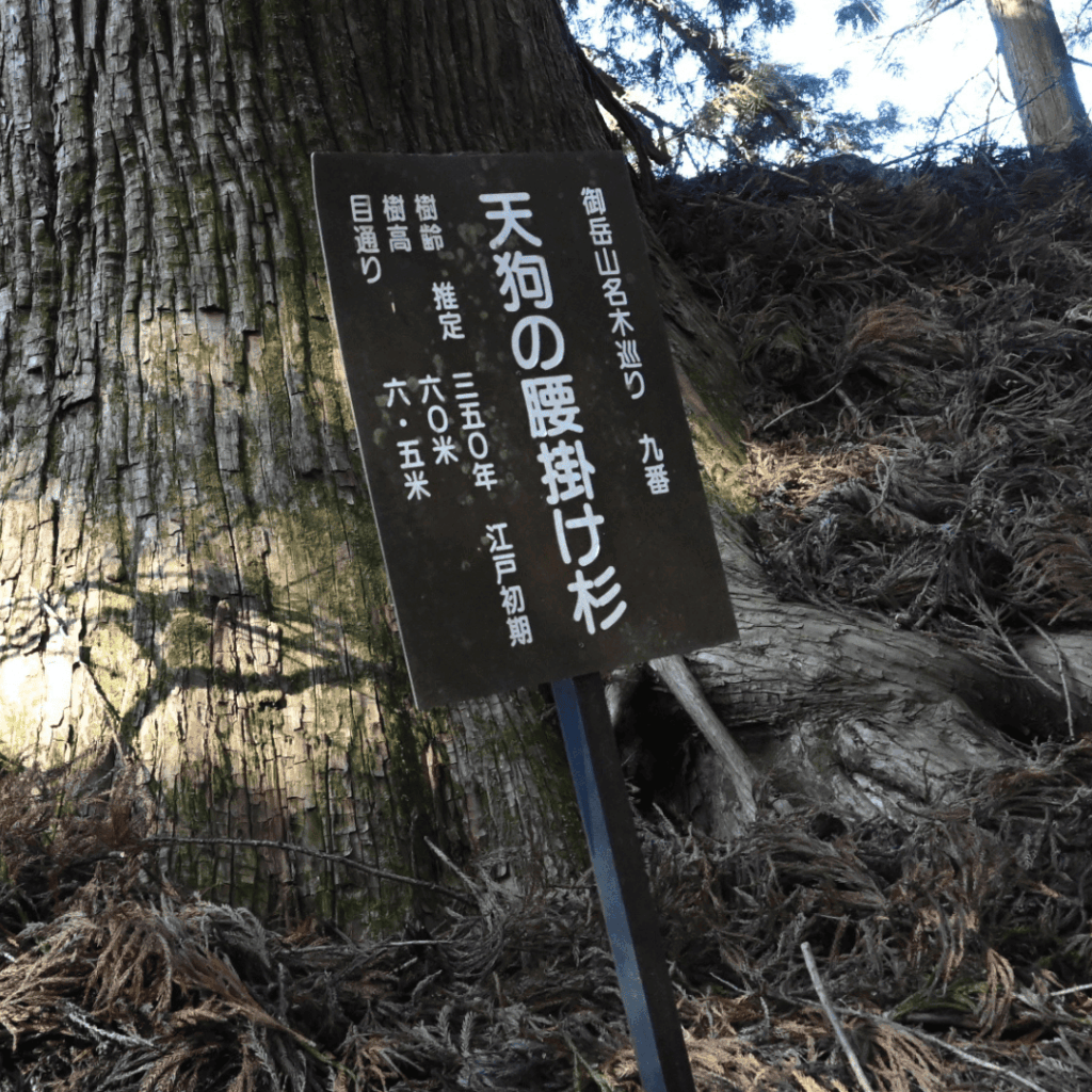 天狗の腰かけの看板