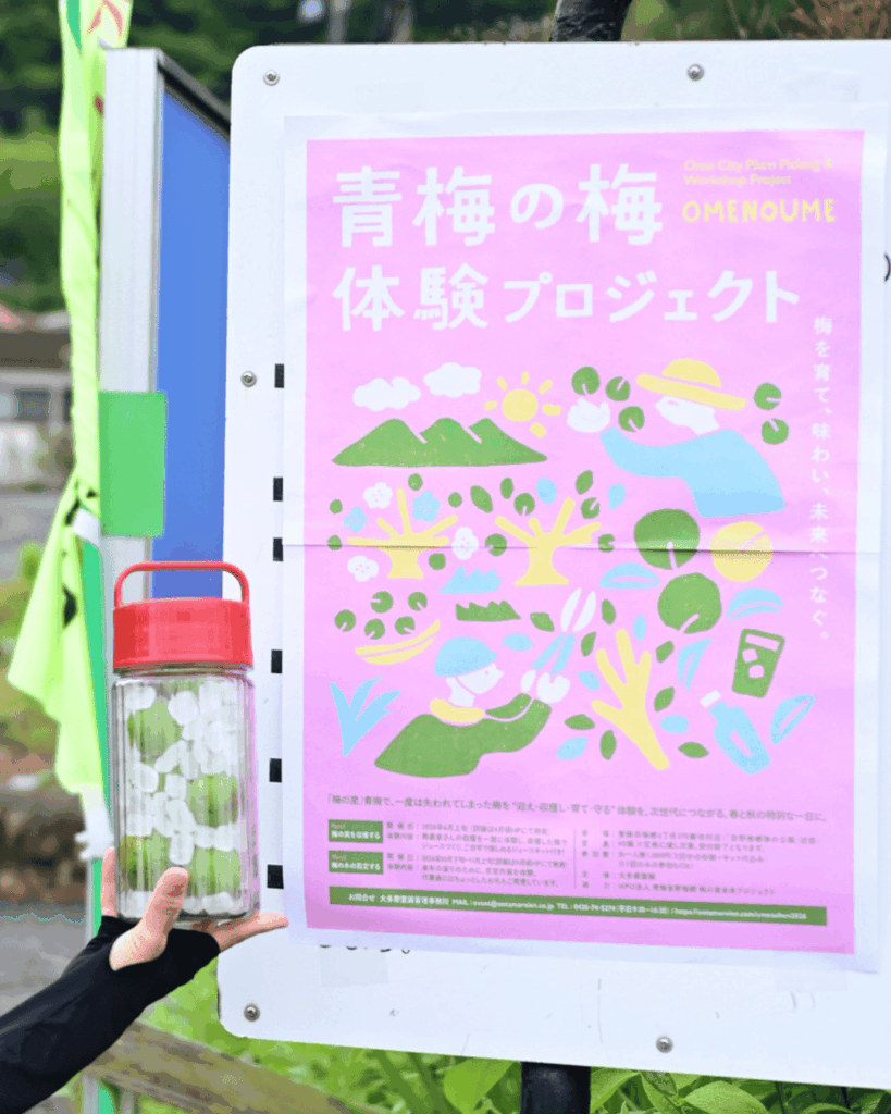 青梅の梅 体験プロジェクトのポスター