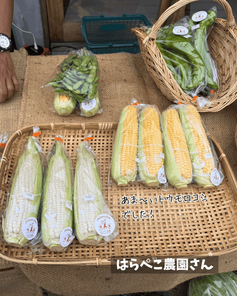 はらぺこ農園さんのあま〜いトウモロコシ🌽
