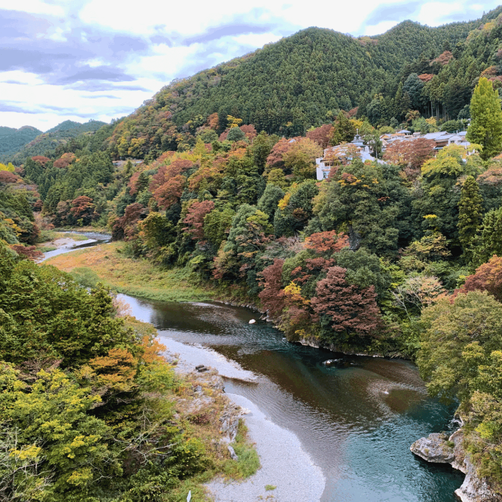 神代橋からの眺め