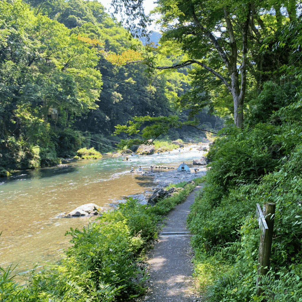 沢井と御嶽をつなぐ遊歩道